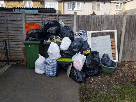 Professional garden clearance team working in Turnham Green