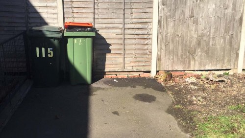 Cleared and revitalized garden in Turnham Green